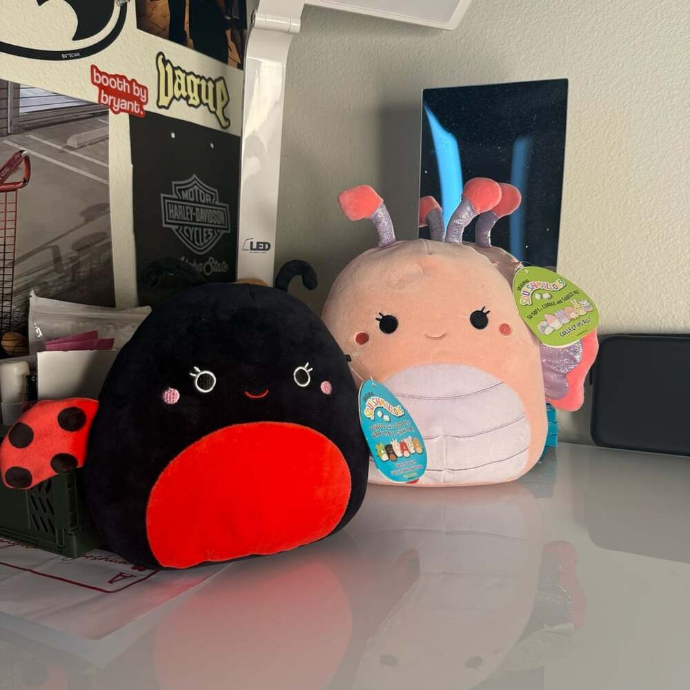 Bundle Squishmallows Maribel The Pink Butterfly Plush Toy and Lady Bug